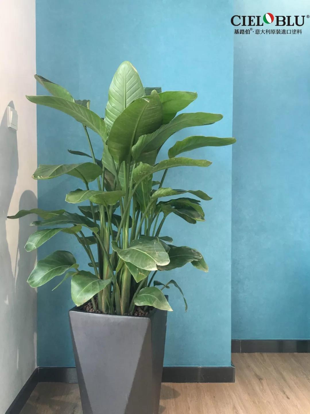 CIELOBLU基路伯佛山運(yùn)營中心牽手品牌一周年，涂裝體驗(yàn)再升級！(圖18)