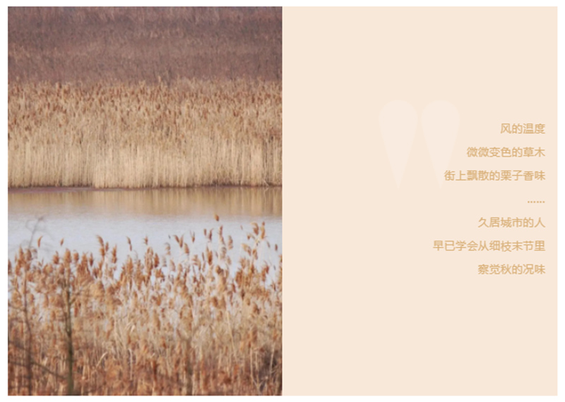 CIELOBLU | 基路伯「奶咖色」，為生活注入一份甜(圖1)